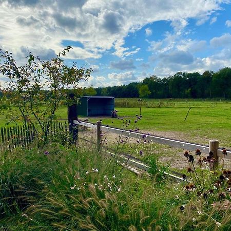 Luxe Finse Kota Van De Zandhoef Eersel Zewnętrze zdjęcie